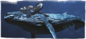 Neo-Whale